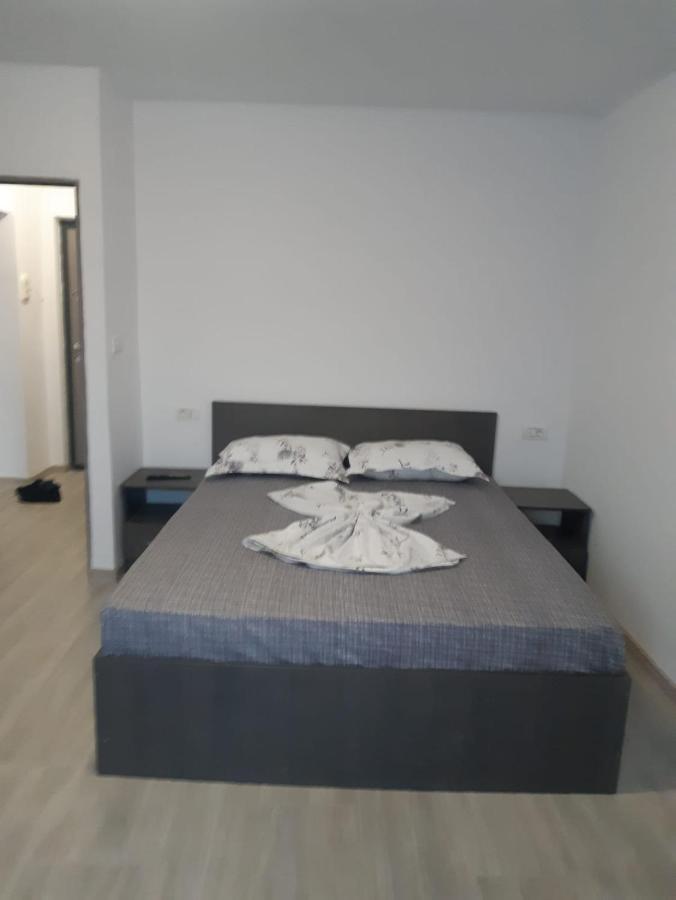 Studio Andrei Ramnicul Valcea Râmnicu Vâlcea 外观 照片